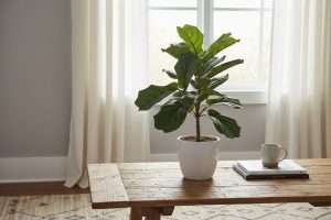 Plante tombante artificielle : le réalisme à portée de main