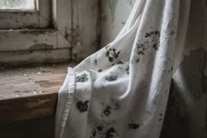Comment enlever les taches de moisissures sur un tissu ?