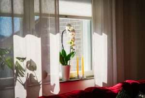 Fleurs et rideaux : comment créer une décoration intérieure harmonieuse ?